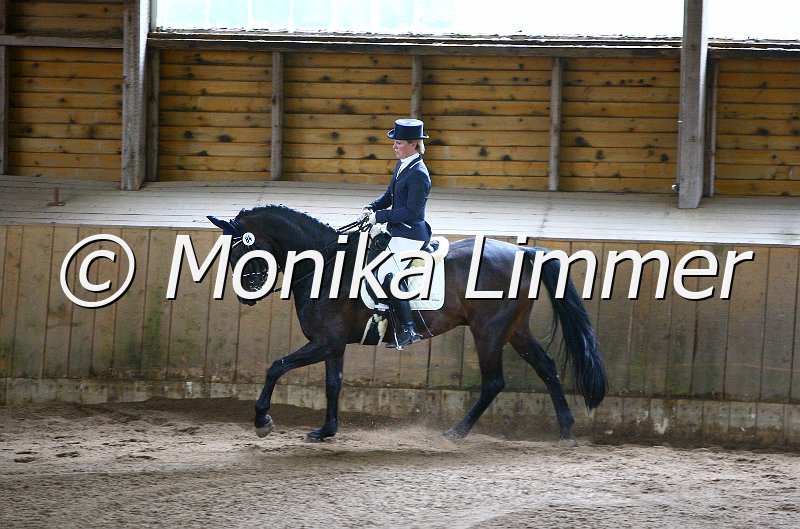 006M5317_Dressurpferde L.JPG